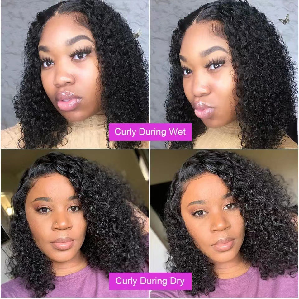 Short African Small Curly Wig