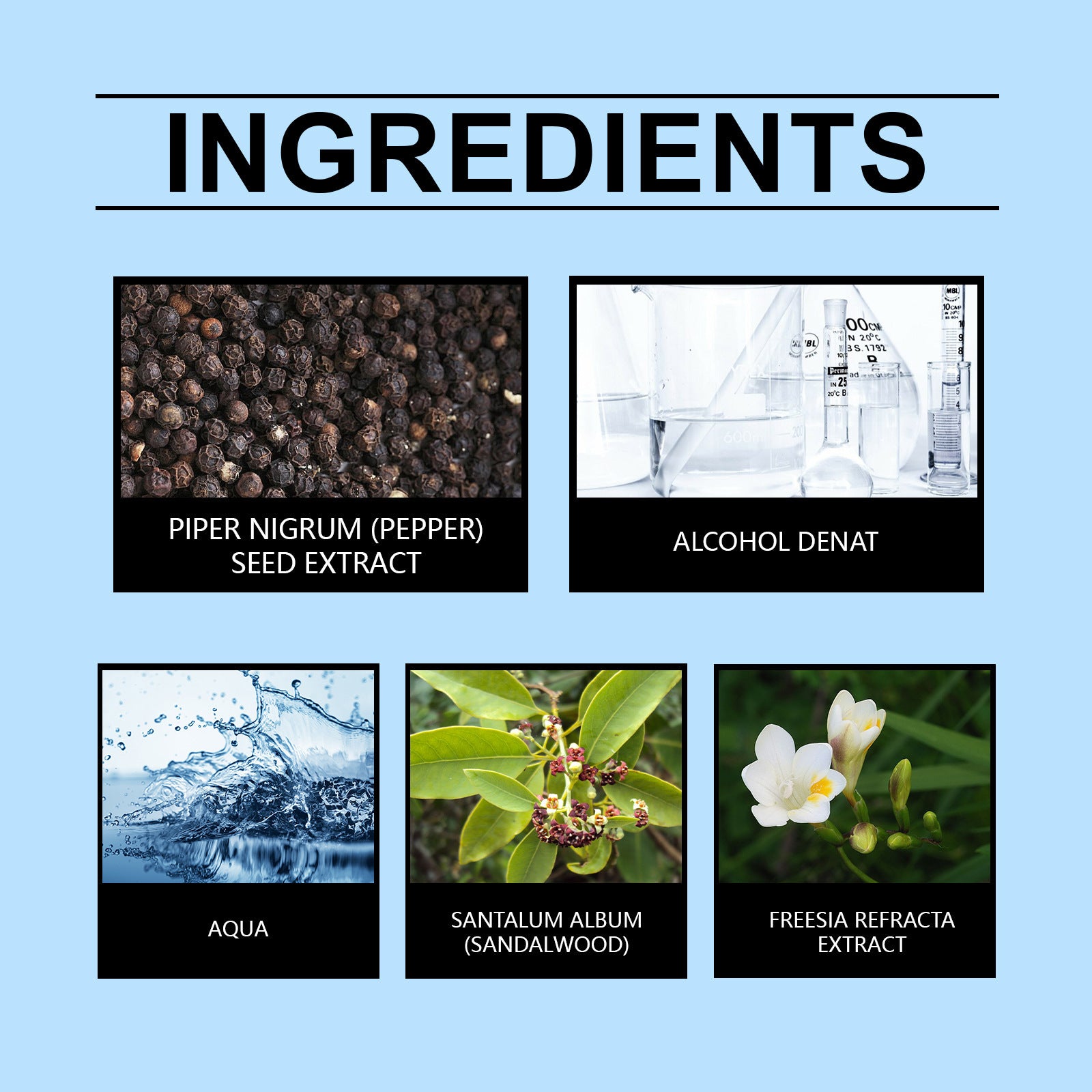 Floral Woody Perfume for Men and Women